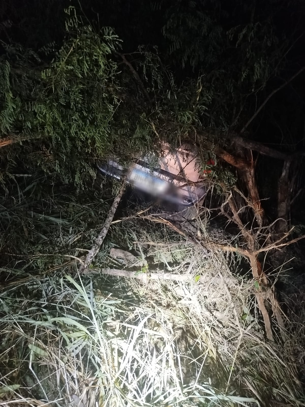 img of Atropelamento Fatal na BA-640: Condutor Foge do Local e Vítima Não é Identificada